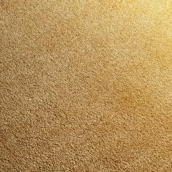 JAB Allure Teppichboden 445 Sonne – strahlender Gelbton mit wohnlicher Wärme und hochwertiger Struktur